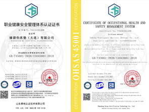 公司通过ISO安全管理体系认证